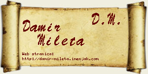 Damir Mileta vizit kartica